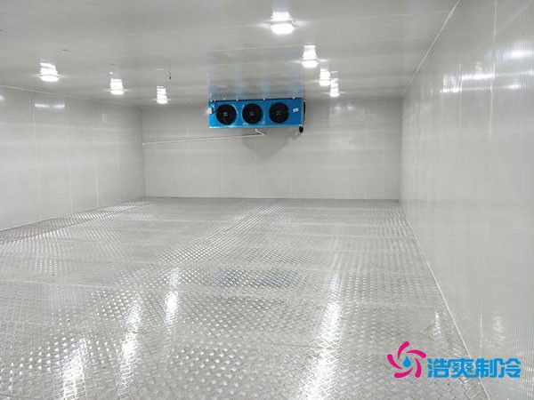 建造100平米-60℃存儲金槍魚的超低溫冷庫造價多少錢？