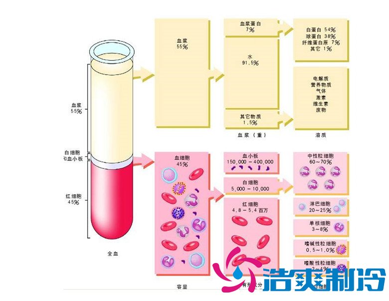 -30℃～-80℃血漿蛋白低溫冷凍庫(kù)規(guī)范，冷庫(kù)安裝價(jià)格